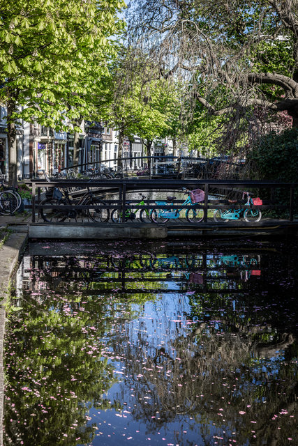 Amsterdam mama 2026-5758.jpg